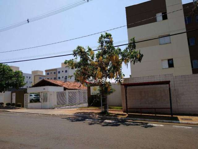 Apartamento para alugar, 45 m² por R$ 1.100,00/mês - Jardim Maria Luiza - Londrina/PR