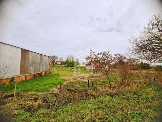 Terreno à venda, 2135 m² por R$ 600.000,00 - Jardim Maria Casagrande Favoreto - Sertanópolis/PR