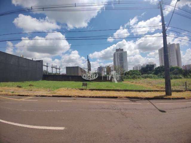 Terreno para alugar, 519 m² - Parque Residencial Alcântara - Londrina/PR