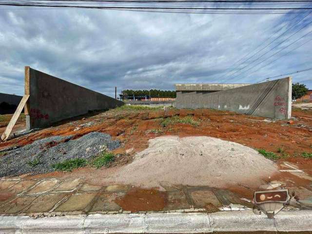 Terreno para alugar, 495 m² por R$ 3.000,00/mês - Jardim Carvalho - Ponta Grossa/PR