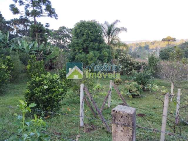 Terreno à venda no bairro Vila Avencal - Ipiranga/PR, Rural