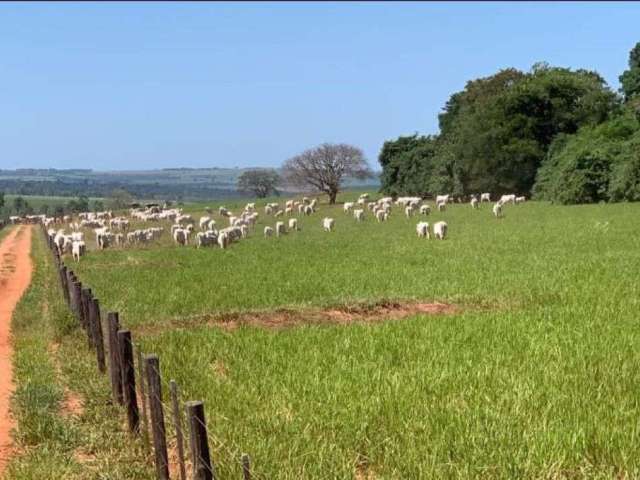 Fazenda pecuária á venda em paranavaí pr