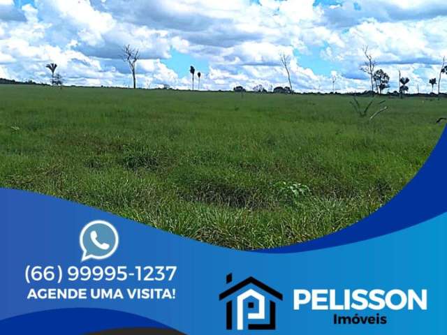 VENDA | Fazenda, com 2 dormitórios em Área Rural De Altamira, Altamira