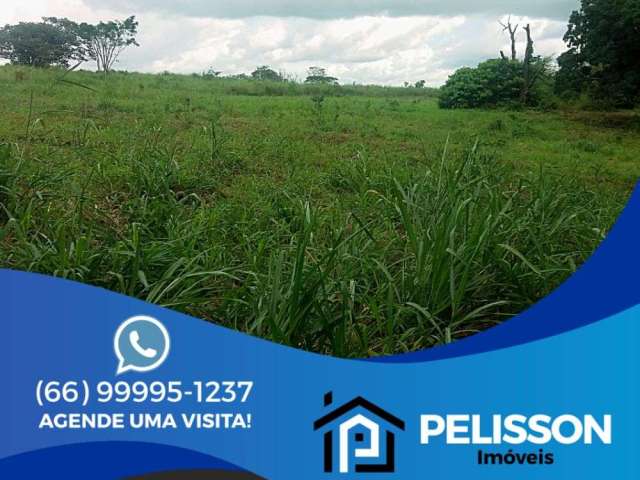 VENDA | Fazenda, com 2 dormitórios em Área Rural De Rio Branco, Rio Branco