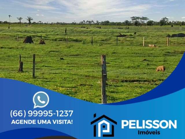 VENDA | Fazenda, com 2 dormitórios em Área Rural De Rio Branco, Rio Branco