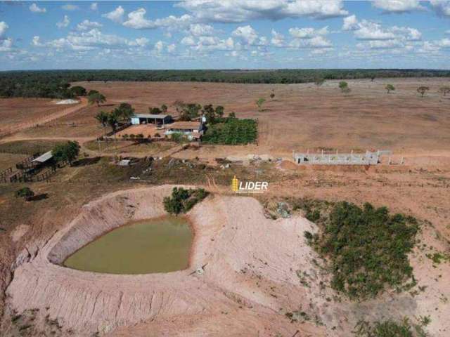 Oportunidade Única! Fazenda magnifica em Guaraí - Tocantins