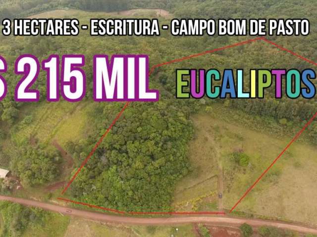 115530 chácara em rolante com 3 hectares, campo, mata nativa e mato de eucaliptos