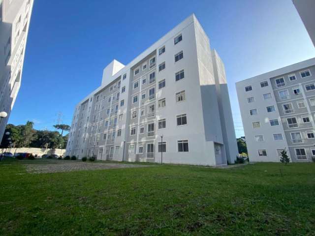 Apartamento com 3 quartos para alugar na Rua Anneliese Gellert Krigsner, Afonso Pena, São José dos Pinhais, 67 m2 por R$ 1.350