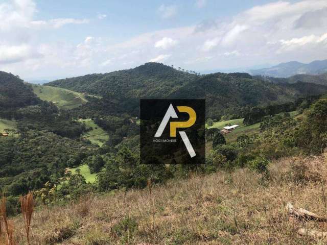 Area Rural a venda 395 mil m² no Sertão do Cantagalo em Gonçalves / MG