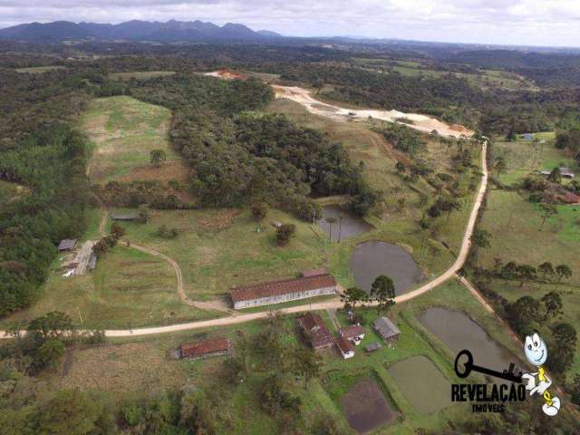 Área Rural à venda, 1.010.000 m²  - Colônia Murici - São José dos Pinhais/PR