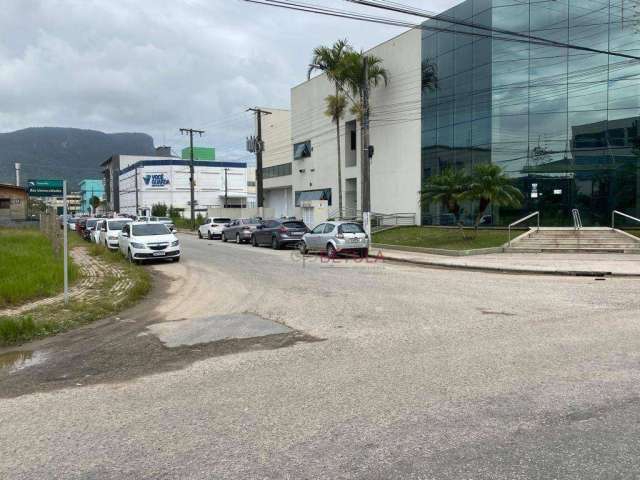 Terreno à venda, 600 m² por R$ 780.000,00 - Pedra Branca - Palhoça/SC