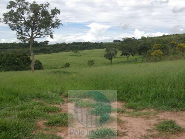 Fazenda em Cajuru 72 alqueires com soja, gado, braquiária e estrutura, 75 km de Ribeirão Preto - SP