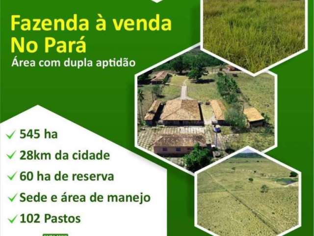 Fazenda Pará