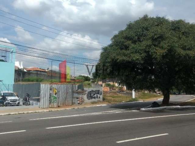 Terreno comercial para alugar na Avenida Professor Fonseca Rodrigues, 1500, Alto de Pinheiros, São Paulo por R$ 140.000