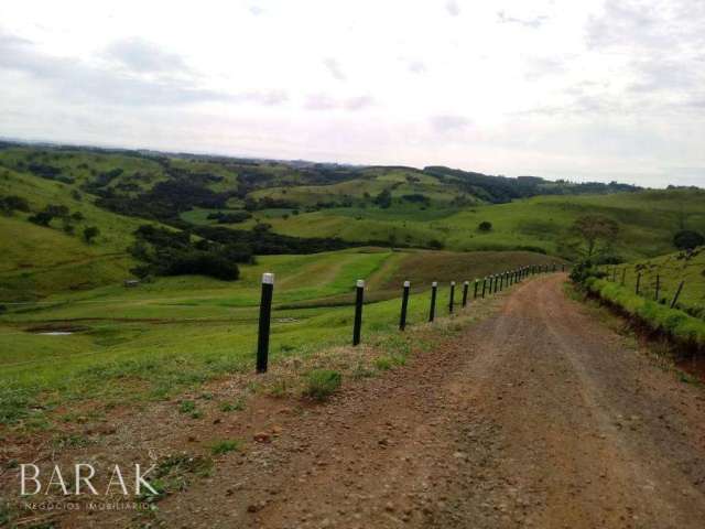 Fazenda à venda, 33 Alqueires por R$ 6.600.000 - Zona Rural - Palmital/PR