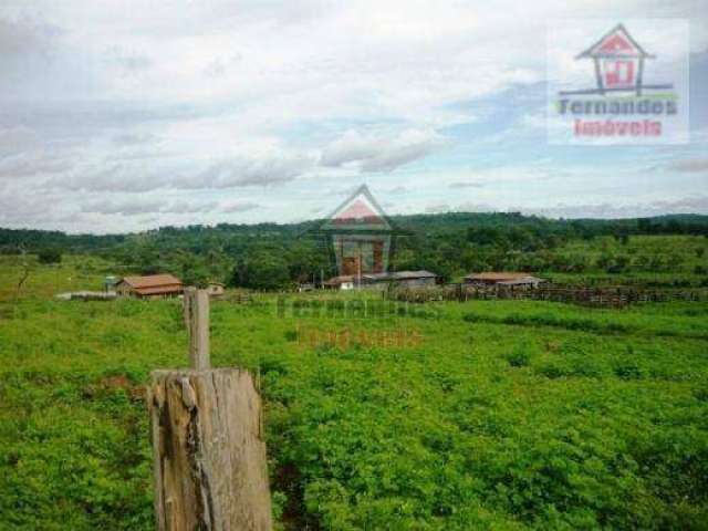 Fazenda à venda, 1.500 há por R$ 25.000.000 - Zona Rural - Campinápolis/MT