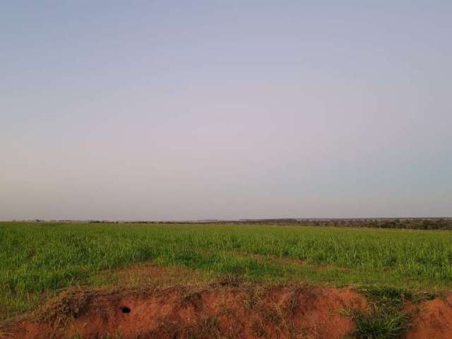 Fazenda com  680 hectares para arrendamento agrícola na região de aporé - go