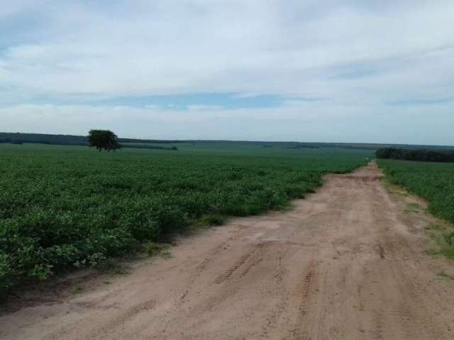 Fazenda com 2.040 hectares dupla aptidão em ribeirão cascalheira - mt