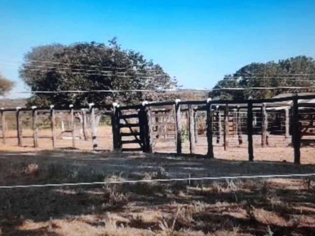 Fazenda para pecuária com 300 hectares em urucuia - mg