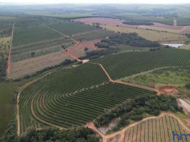 Fazenda para agricultura em laranja com 170 alqueires paulistas em angatuba - sp