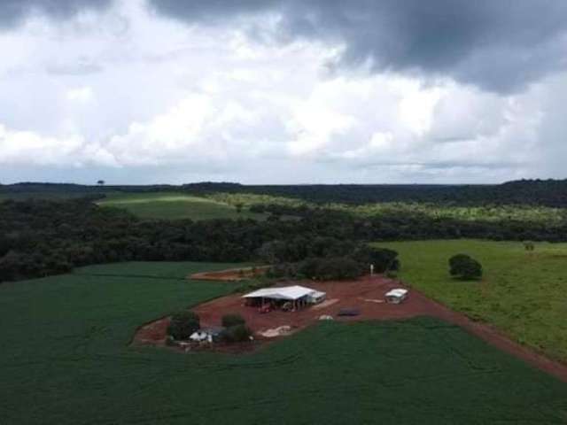 Fazenda dupla aptidão com 1.349 hectares em primavera do leste - mt