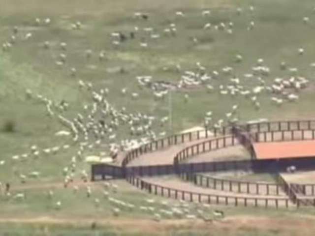 Fazenda para pecuária com 6.135 hectares em santo antõnio do leverger - mt