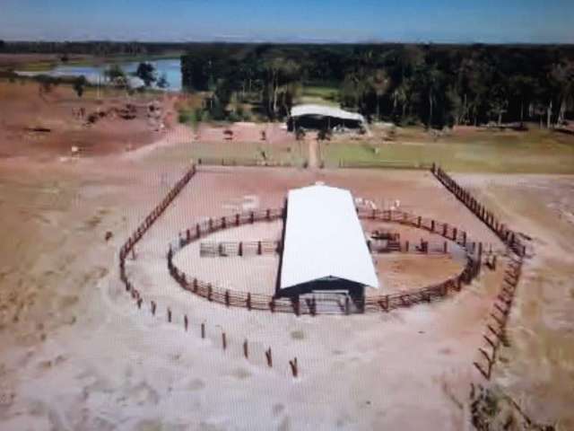 Fazenda para pecuária com 300 alqueires em santana do araguaia - pa