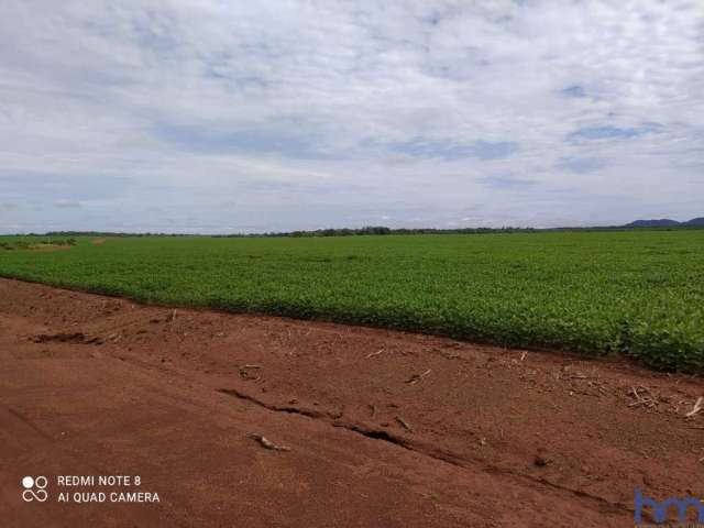 Fazenda com 449 alqueires para agricultura no município de conceição do araguaia - pa