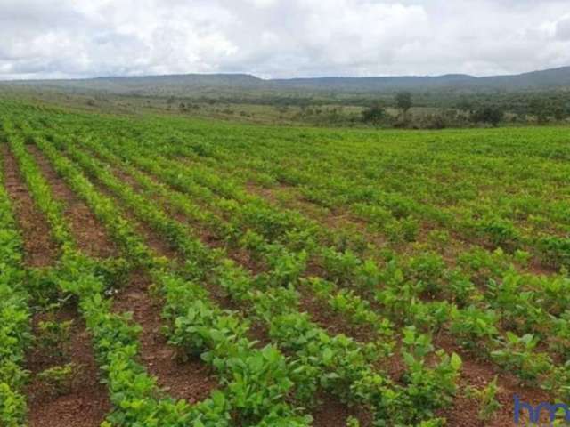 Fazenda com 146 alqueires dupla aptidão no município de uruaçu - go