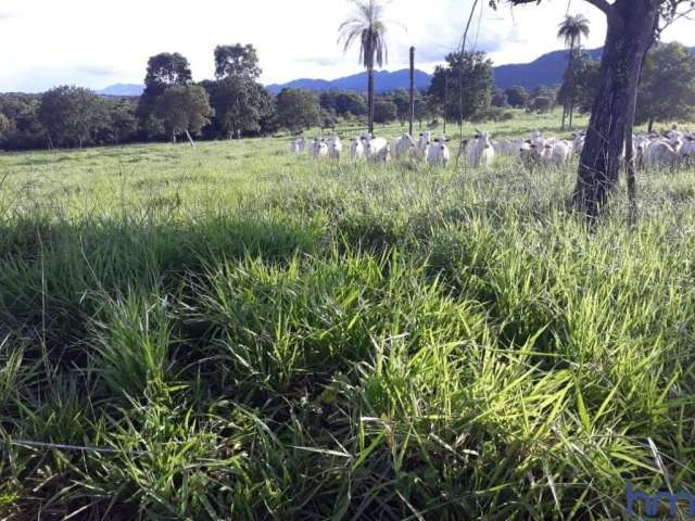 Fazenda com 198 alqueires dupla aptidão no município de palmeirópolis - to