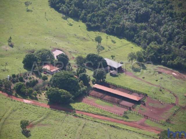 Fazenda com 680 alqueires dupla aptidão no município de doverlândia - go