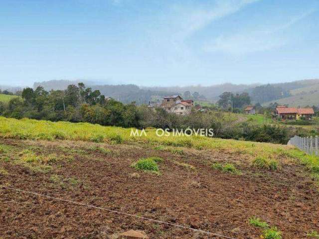 Terreno à venda, 3000 m² por R$ 235.000,00 - Fazenda São Borja - São Leopoldo/RS