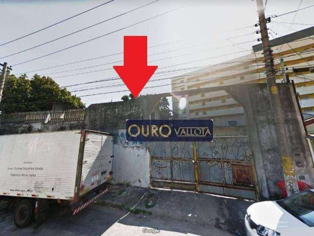 Terreno para alugar, 310 m² por R$ 4.000,00/mês - Vila Leopoldina - São Paulo/SP