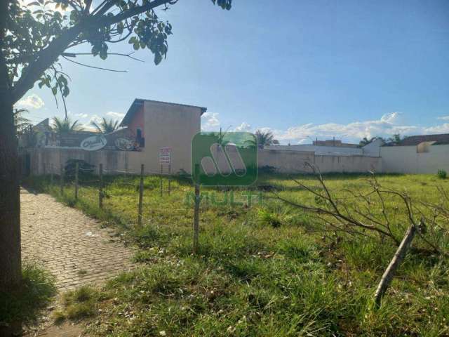 Terreno comercial para alugar no Alto Umuarama, Uberlândia  por R$ 2.000