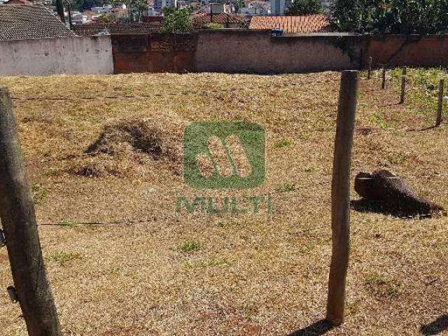 Terreno comercial à venda no Vigilato Pereira, Uberlândia  por R$ 380.000