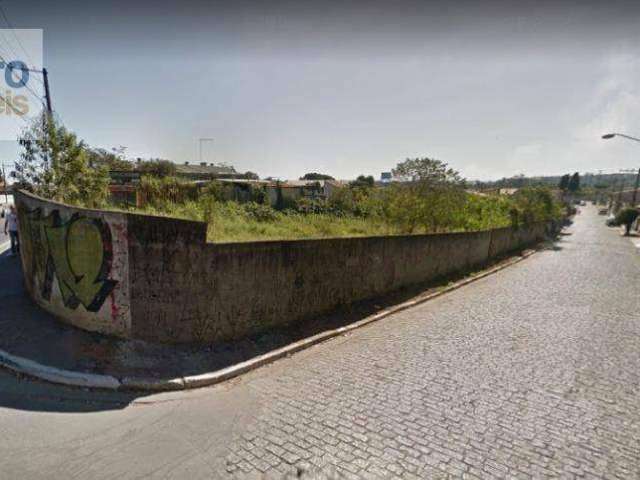Terreno, 1380 m² - venda por R$ 5.500.000,00 ou aluguel por R$ 10.000,00/mês - Vila Amorim - Suzano/SP