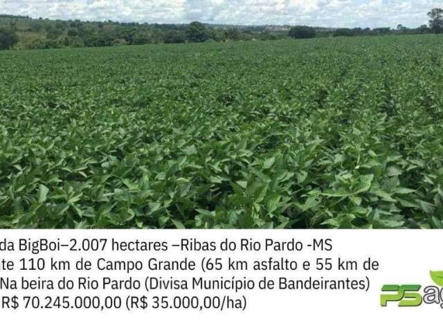 Fazenda à Venda, 20070000 M² Por R$ 70.245.000,00 - Centro - Ribas do Rio Pardo/ms