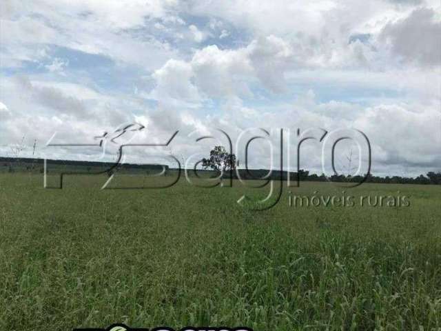 Fazenda à Venda, 12250 Hectares Por R$ 98.000.000 - Fazenda Santa Rosa - Barra do Corda/ma