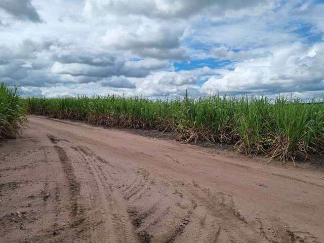 Fazenda  de Cana de Açúcar 84,5 Alqueires - Regiao de Rio Claro SP