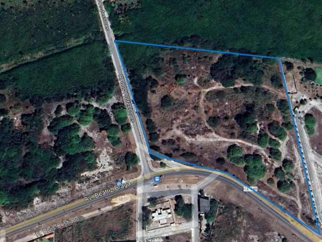 : Terreno para venda com 30.000 m² em Pecém - São Gonçalo do Amarante – CE