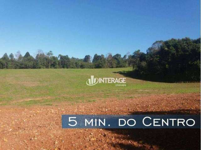 Terreno à venda, 5000 m² por R$ 750.000,00 - Vila Delurdes - Campo Largo/PR