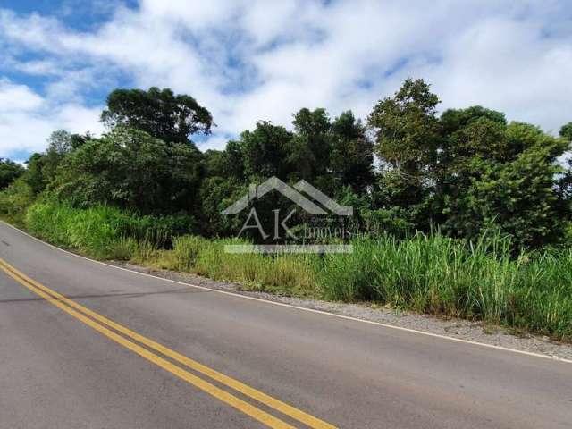 Área de terras para investimento à venda em Nova Petrópolis na serra gaúcha