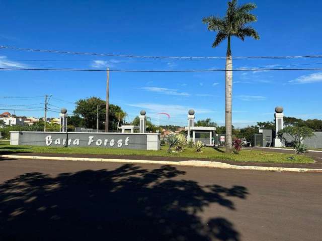 Condomínio Residencial Barra Forest - Terreno com 366, 54 m² à venda por R$ 190.000,00 - Parque Leb