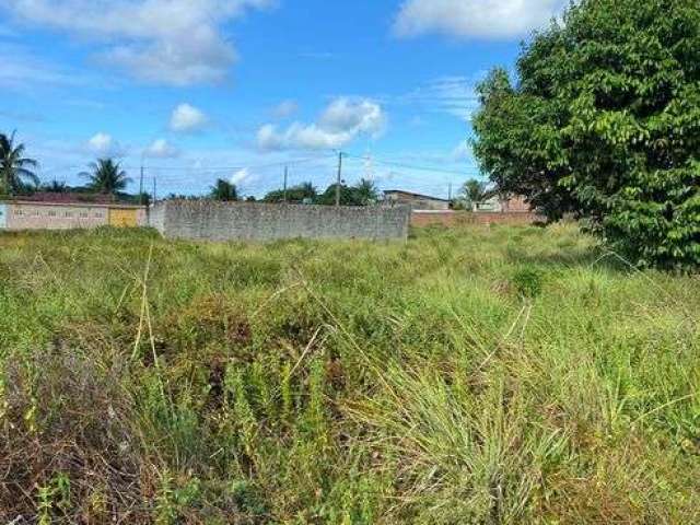 Lote/Terreno para venda tem 400 metros quadrados em Barra de Catuama - Goiana - PE