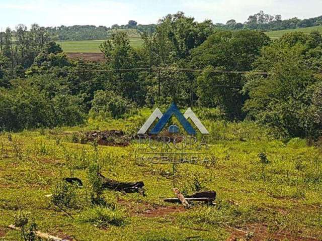 Terreno à venda, 7000 m² por R$ 250.000,00 - Rural - Sertanópolis/PR