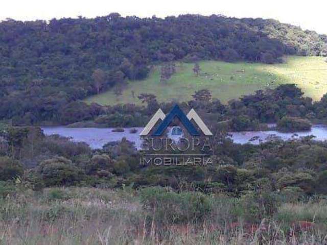 Terreno à venda, 5000 m² por R$ 350.000,00 - Rural - Ibiporã/PR