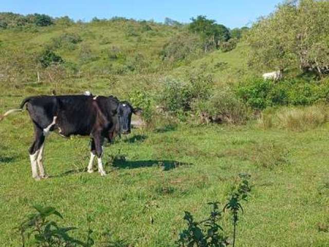 Terreno para Venda em Itaboraí, Agro Brasil