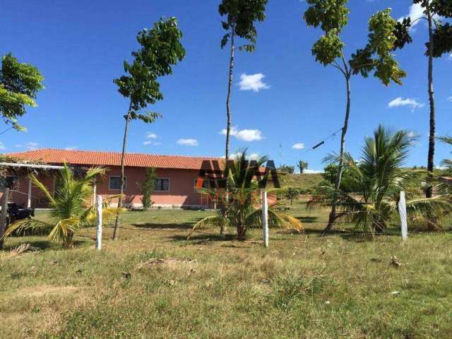 Fazenda à venda, 39688000 m² por R$ 123.000.000,00 - Setor Central - Araguaína/TO