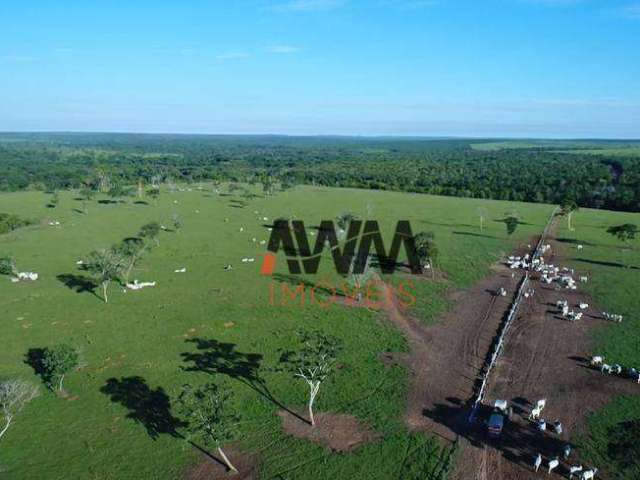 Fazenda à venda, 62800000 m² por R$ 120.000.000,00 - Vila Nova - Paranatinga/MT