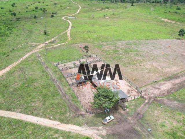 Fazenda à venda, 96933500 m² por R$ 120.000.000,00 - Zona Rural - Santana do Araguaia/PA